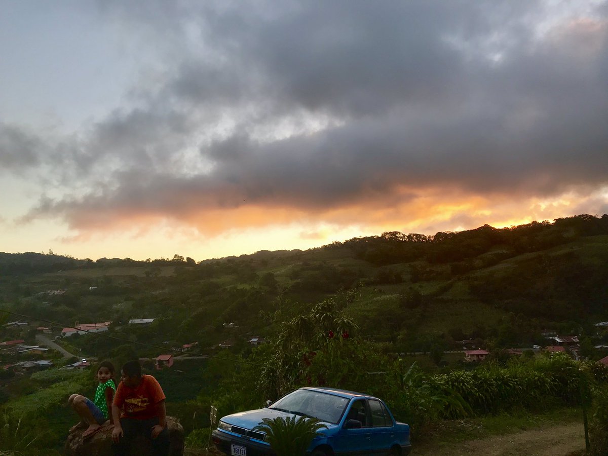 Spanishlearner4's tweet image. サンラモンへのプチ旅行を終えて帰ってきました。
山の上にある場所なので日が陰るとホント寒いんですが、フルーツだらけのグアナカステと違って花だらけだったのが面白いですね。
グアナカステはマンゴーが熟し始めるタイミングで、5月くらいまで道端でマンゴーが取れます。