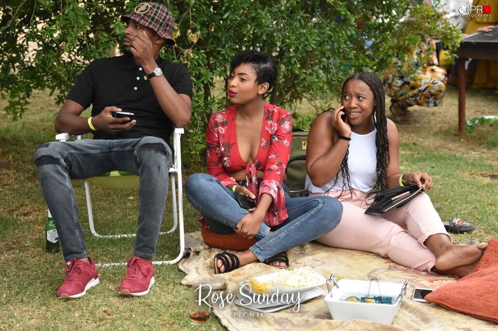 chimpasfridaySA's tweet photo. 30.12.18 #RoseSundayPicnic https://t.co/w47HbsQLzr
