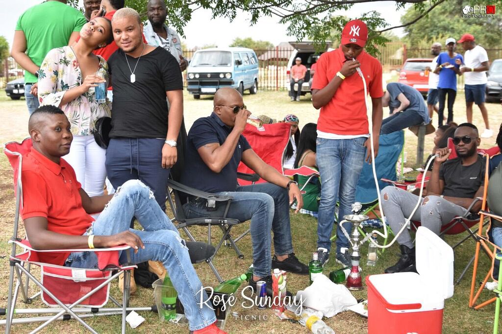 chimpasfridaySA's tweet photo. 30.12.18 #RoseSundayPicnic https://t.co/w47HbsQLzr