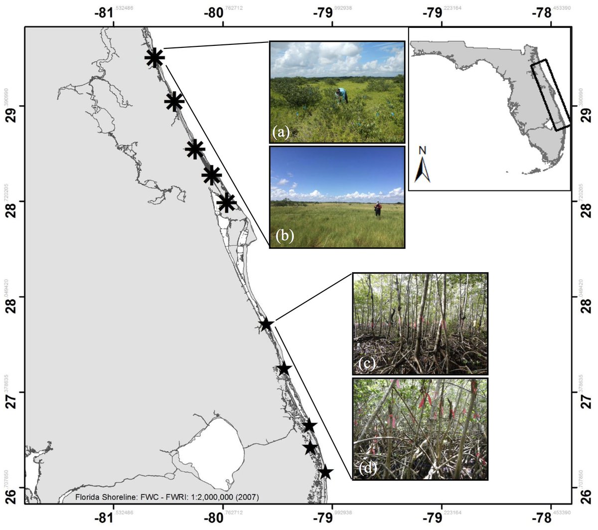 Whitney_Lab's tweet photo. #osbornelab and Candy Feller from @SmithsonianEnv publish "Wetland Soil Co2 Efflux Along a Latitudinal Gradient of Spatial and Temporal Complexity" in #EstuariesandCoasts @CERFScience https://t.co/zKWIeJFddf