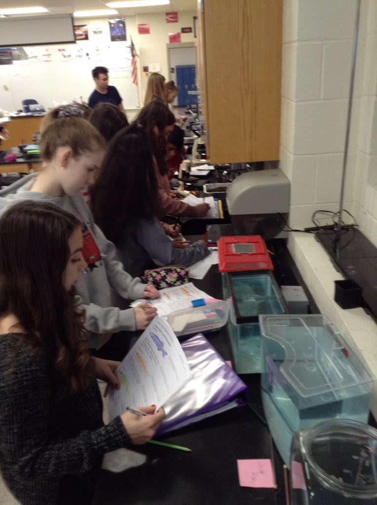 Making observations to start our new unit on genetics. #south learns #d25learns <a href="/sms8east/">SMS8East</a>