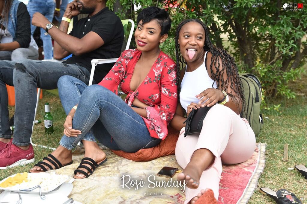 chimpasfridaySA's tweet photo. 30.12.18 #RoseSundayPicnic https://t.co/HSC6PMYI3J