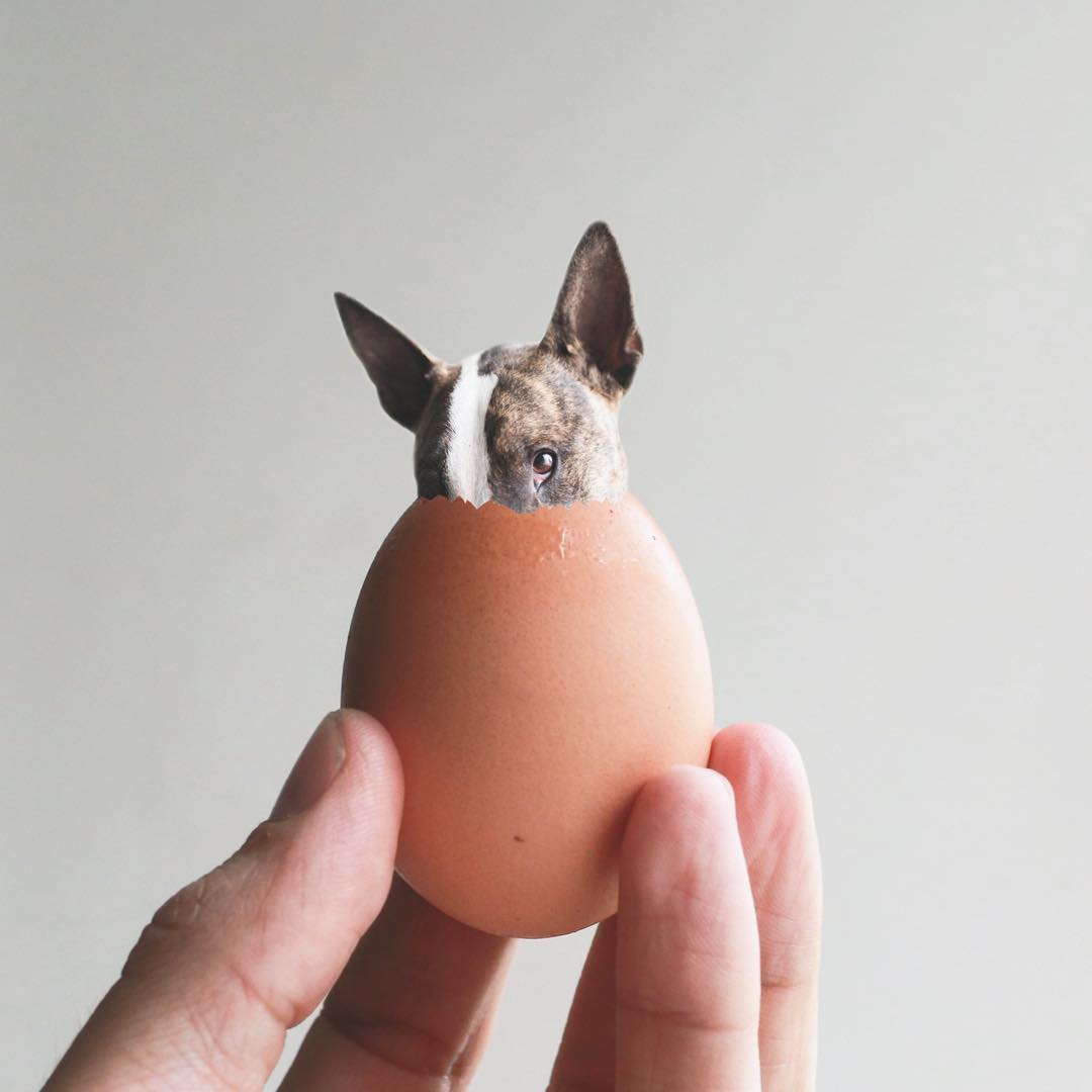 Ojasvi Pathak (ojasv123) Twitter