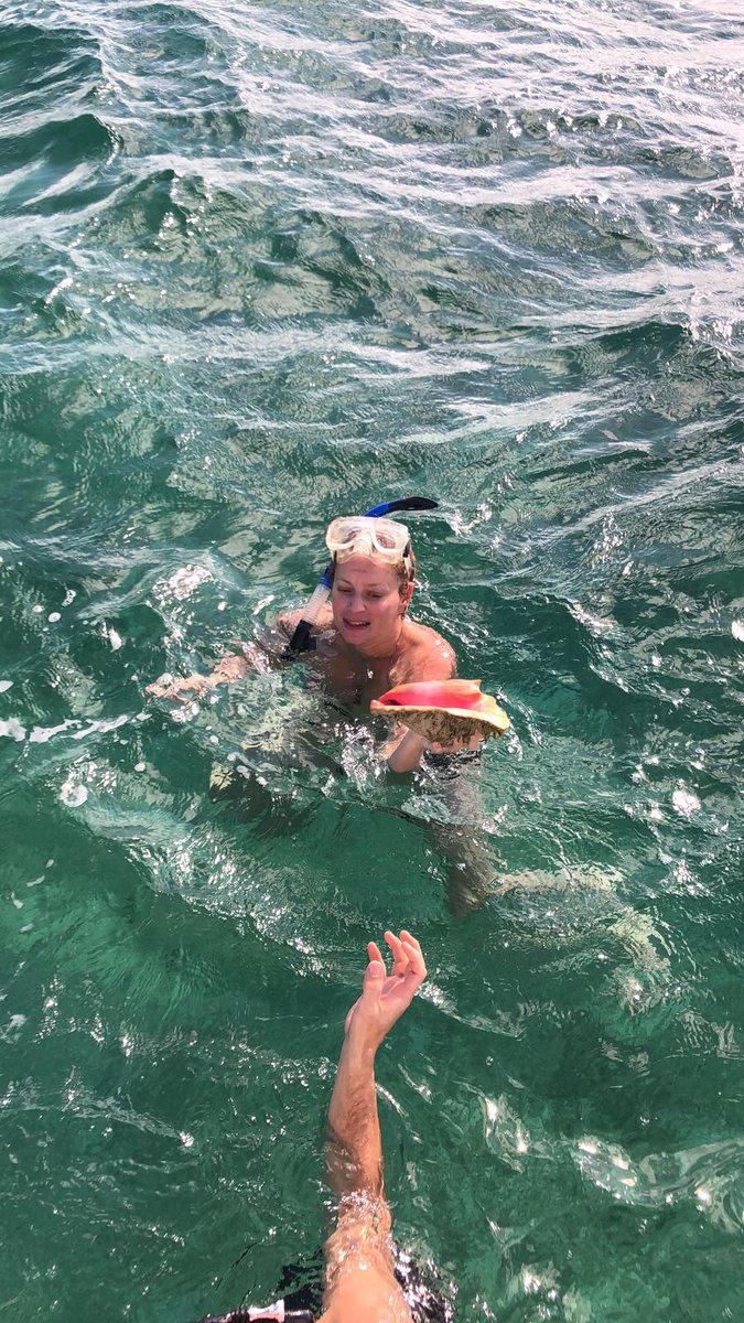 FountainResort's tweet photo. Guest swimming and diving @ fountain Bay. #bookyournextvacation #islandlife #enjoylife #relaxingtime https://t.co/Hm5ov1LO5V