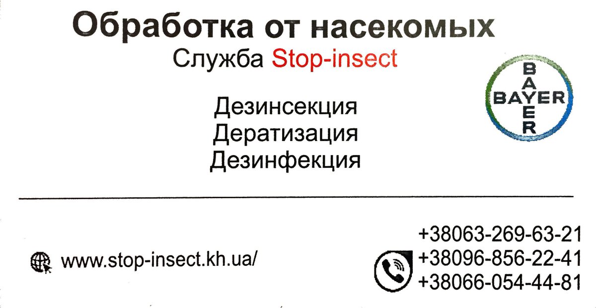 InsectStop's tweet image. 