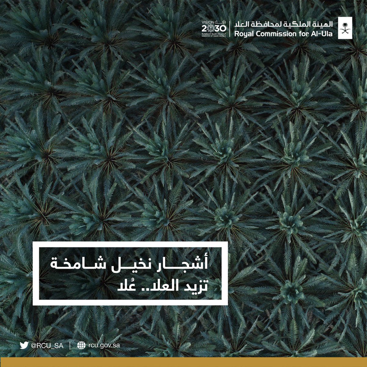 RCU_SA's tweet photo. تعتبر مزارع النخيل (مزارع التمر) في #العلا جزءًا أساسيًا من اقتصادها، فهي تضيف لونًا لواحة #العلا إلى جانب ارتباطها بالعادات والقيم الاجتماعية.
#اكتشف_العلا https://t.co/86ilrGMF8t