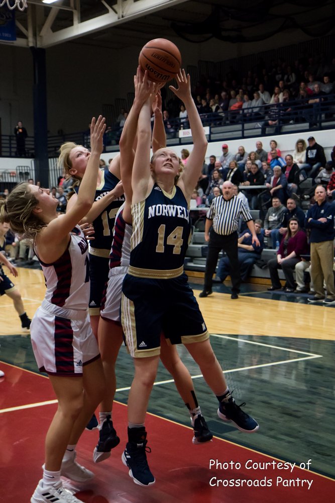 Image result for norwell lady knights basketball