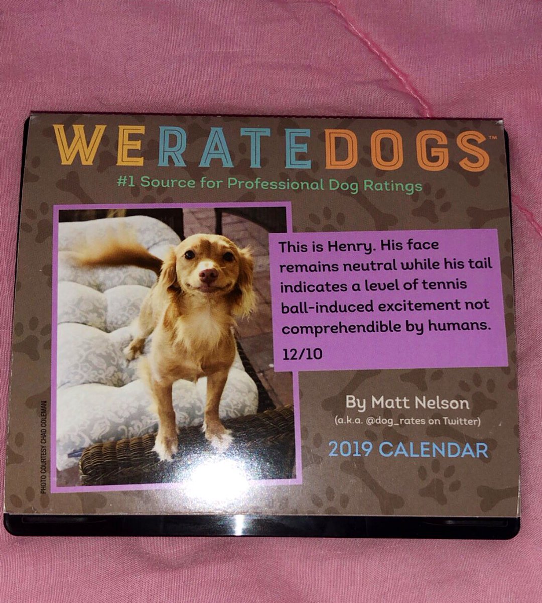 we rate dogs calendar