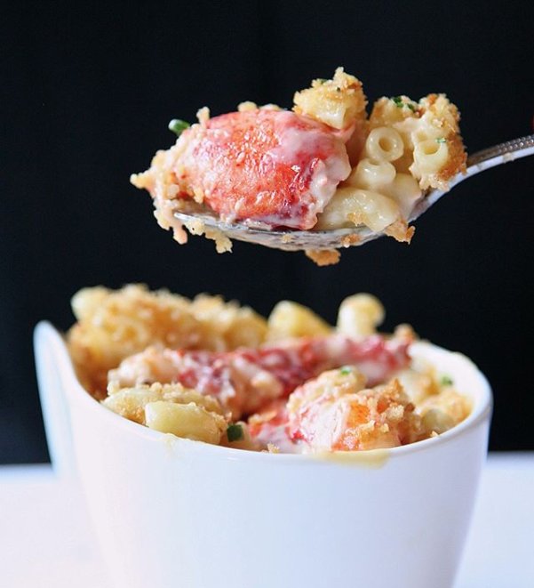 PrimeProvisions's tweet photo. Cozy up to a bowl of Lobster Mac today. π¦ #CleanCaught #TuesdayTreat #LobsterMac #MacNCheese #Lobster #EEEEEATS #ComfortFood https://t.co/lmifM5Pit5 https://t.co/D4fe37eLg5