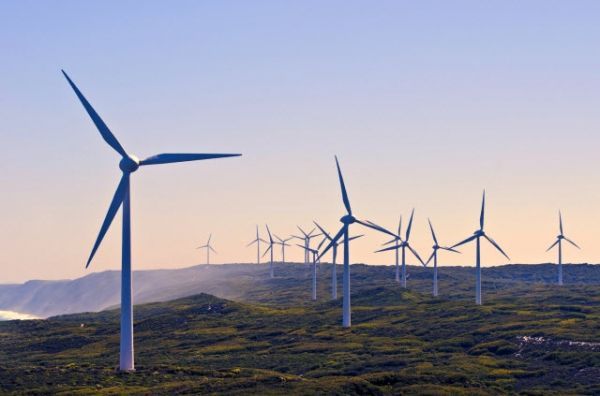 EnnNews's tweet photo. Researchers building larger, lighter wind turbine blades

Read more at ENN
https://t.co/yQMZm79mcu https://t.co/JYdoc6IFfL
