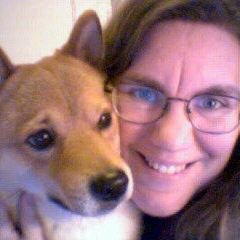 shigatsuhana's tweet photo. Then (2001) and now. Not too much has changed! #shibainu https://t.co/l213FmoKSC