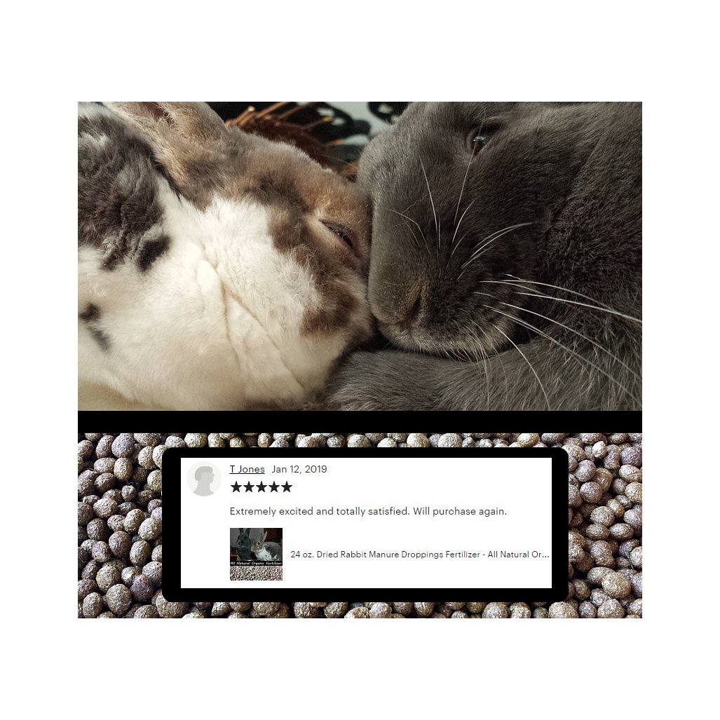 NaturalNathan's tweet photo. https://t.co/wXVmQBy6pA Thanks to our two busy bunnies, we've made our first delivery of all natural fertilizer and received our first review - FIVE STARS! Share the love with your house plants and garden! #gardening #organic #natural #fertilizer #etsy #Congratulations #Fivestars https://t.co/uoTZKH0F2i