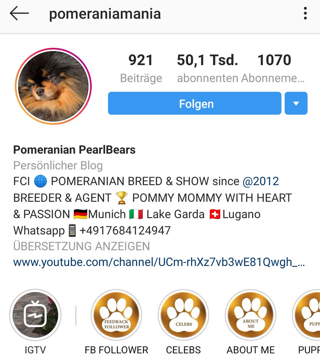 failfluencers's tweet photo. Tiere aus dem Tierheim?

Nicht für Influencer! 

Für die gibt es nur die besten instagramable Welpen von der dubiosen pelztragenden Züchterin. https://t.co/RTWMoStl35