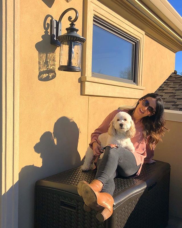 deannacruz's tweet photo. Just enjoying some sun with this girl 🐶 ☀️ || #sun #sundayfunday #patswon #seattle #seattle_igers #dogsofinstagram #deannaapproved #deannaapproved #puppylove #butisweariamacatperson #dog #sunnydaysinseattle https://t.co/J53pB5CPWk https://t.co/UF04knAL7r