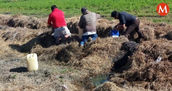 MaluMicher's tweet photo. “No me escandaliza la crisis en la distribución de gasolinas. Me escandaliza que nadie, en los sexenios anteriores, haya tenido los pantalones que está teniendo @LopezObrador_ para luchar contra esto así, duro, contundente”, escribe @AlvaroCueva.

> https://t.co/aOORKLAREy ⛽️ https://t.co/C43dx7SVig