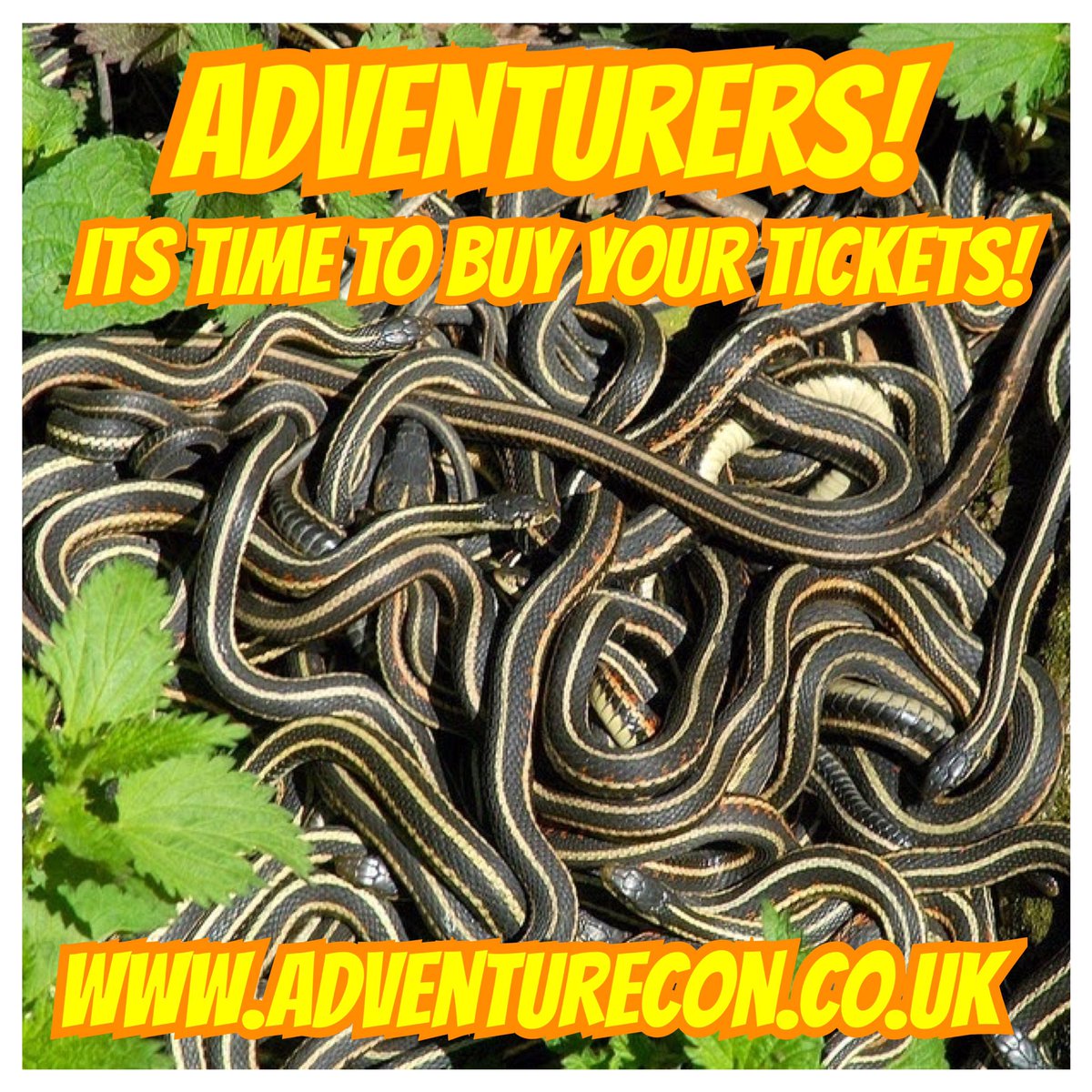 ConAdventure's tweet image. 