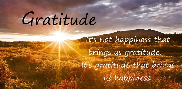 TheNumbersLady's tweet photo. If you take the time each day to show gratitude, you really will attract more things to be grateful for. 💞💞🙏 https://t.co/04RTOpvewC