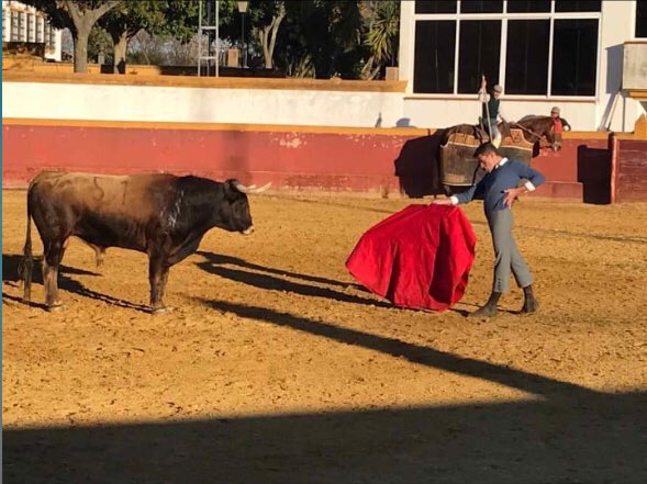_carlosaranda's tweet photo. Carlos Aranda intensifica su preparación de la mano del matador de toros Luis Vilches de cara a la próxima temporada https://t.co/2pHH8c81mF https://t.co/JfsWKxqJai