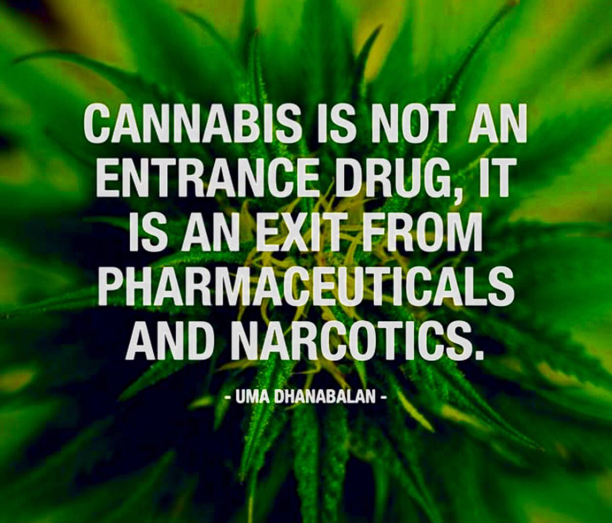 NorCalStoner420's tweet photo. #Cannabis Patient Says it Helped her Overcome a Dependency on 18 Different Prescriptions... “Medical #Marijuana is the Reason I’m Opiate Free now… It Really Gave me My Life Back and Makes my Pain Manageable, Without Inebriating Me or Forming Another Dependence.” #StayWoke... https://t.co/t596nkaaU1
