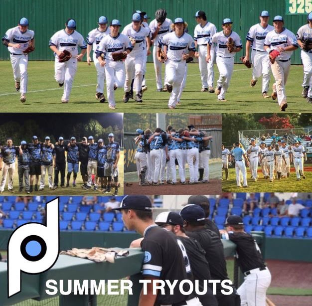 drypondbaseball's tweet photo. Summer tryouts weather permitting Saturday, Jan 26th at Moor Park. 2021/2022 grads at 1pm, 2020 grads at 3pm #thepond https://t.co/tLVouzuRh7