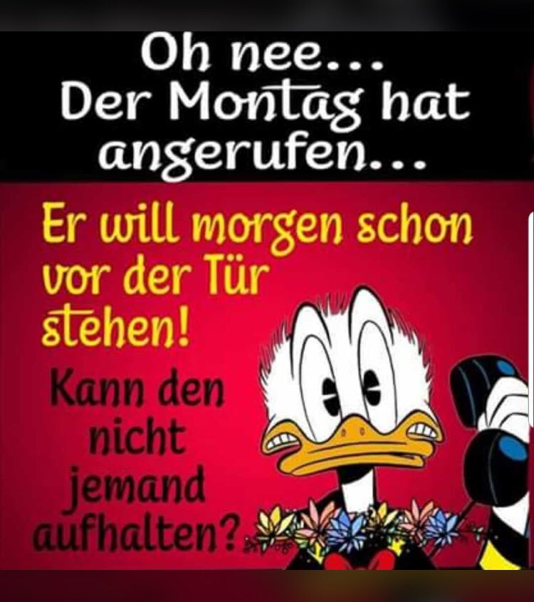 Schönen Abend Und Später Eine Gute Nacht Bis Morgen