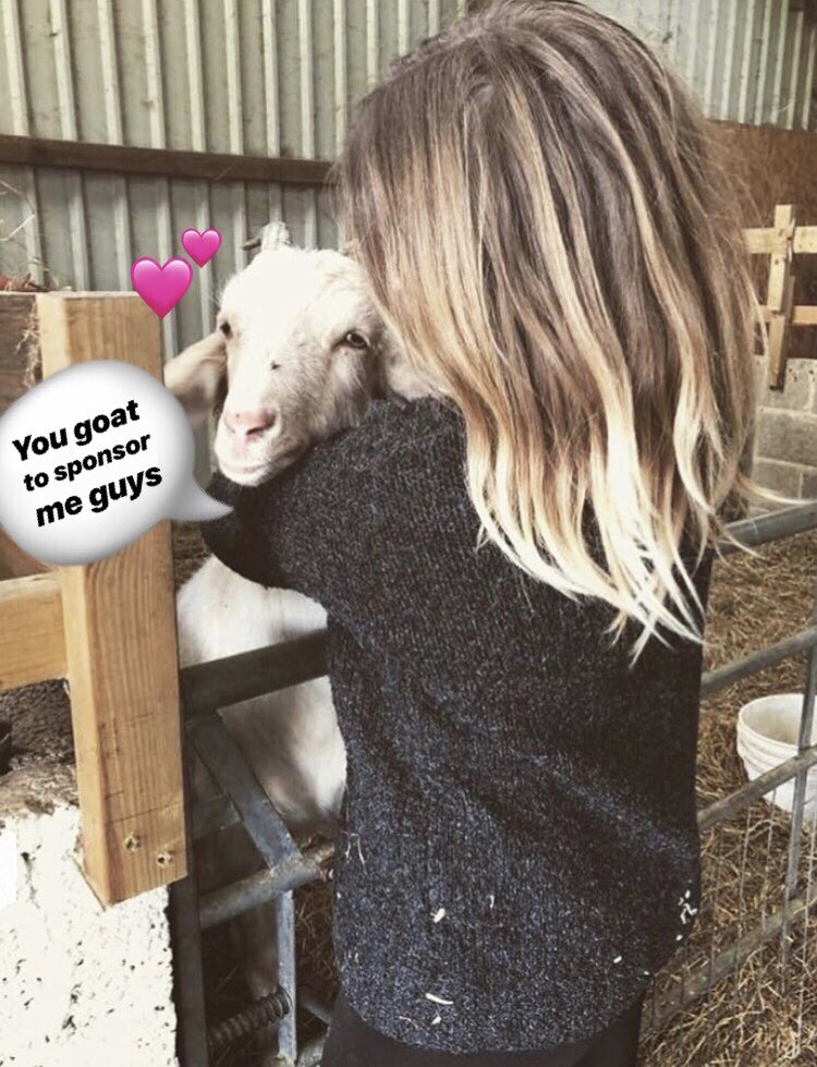 Hello beautiful people! PLEASE could you do what the goat says and #sponsor me for my 250 mile bike ride in 5 days to raise money for #Veganuary: justgiving.com/C-O-Connell?ut…. So please help with whatever you can! Help make a #vegan world 💚🌎🌱 #share #RT