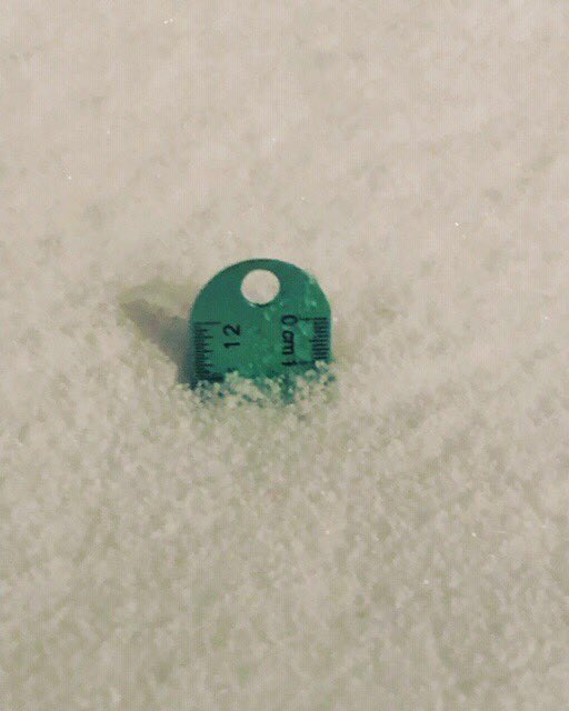 MsC_at_Melcher's tweet photo. From all the online forecasts I saw they weren’t calling for THIS much snow! But this is what landed in my backyard! 😱🥶❄️ #WelcomeToMissouriWeather #12inchesOfSnow #MotherNatureIsCrazy 🤪 (According to my mother Columbia,MO got close to 16”!!) 😳🤯 https://t.co/qomDFjIje2