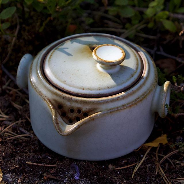 Tea89Noir's tweet photo. Traveling buddy ✈️🍵
.
.
#tea89noir #tea #cha #teaculture #puerh #puer #oolong #health #greentea #norway #teadrunk #streettea #teapot #gaiwan #gongfucha #beautiful #instatea #nature #life #art #photooftheday #tealife #teaaddict #tealover #teagram #お茶 #차 #teaware https://t.co/zZBmQZv9ad