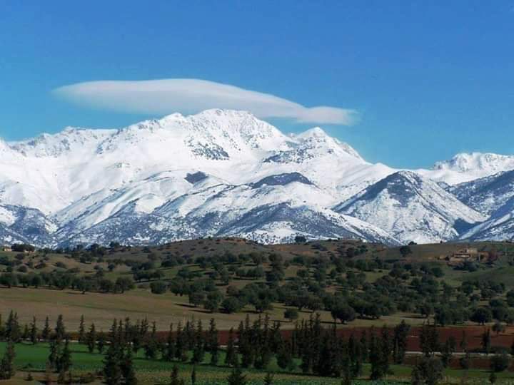 Djurdjura Hashtag On Twitter