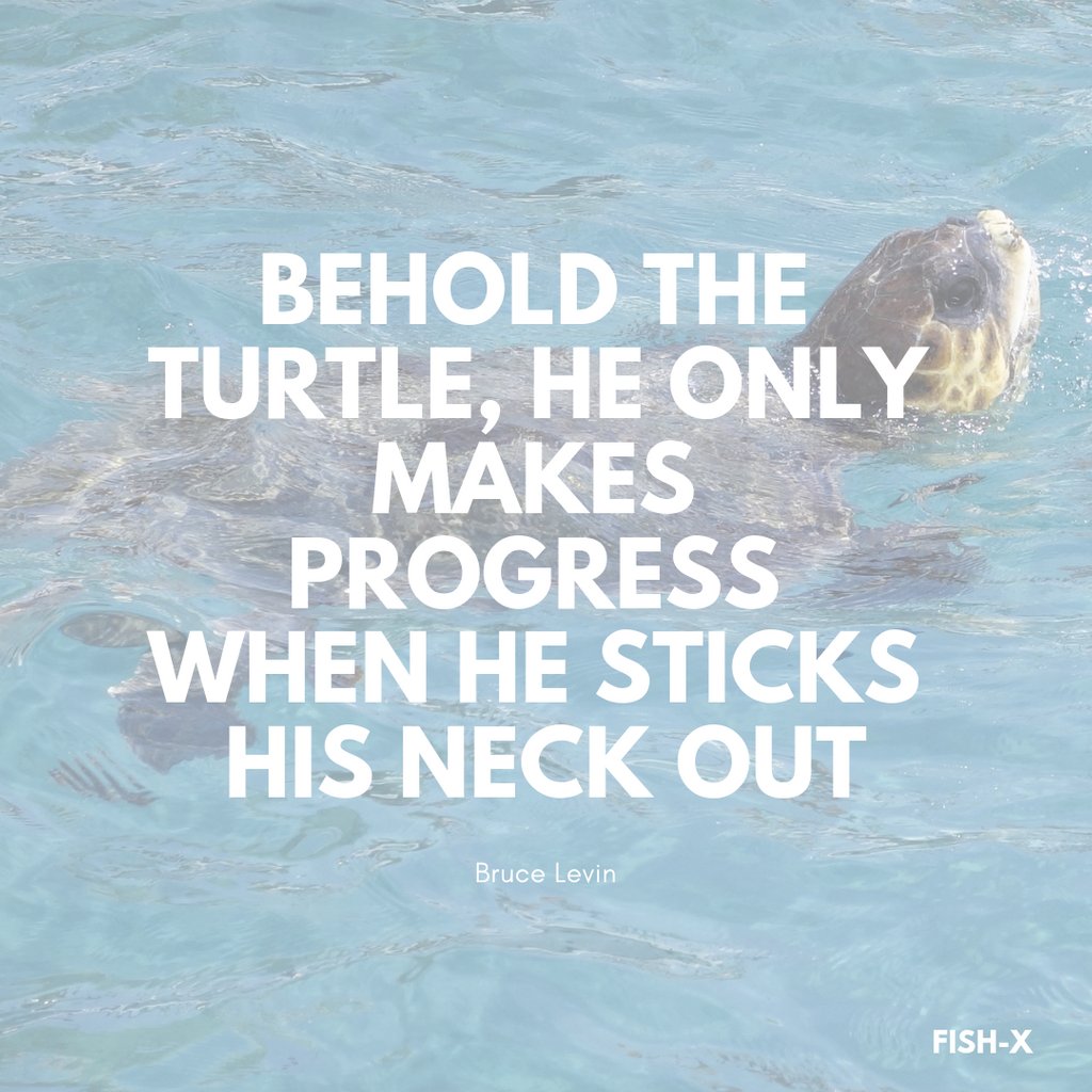 FishX_Program tweet media