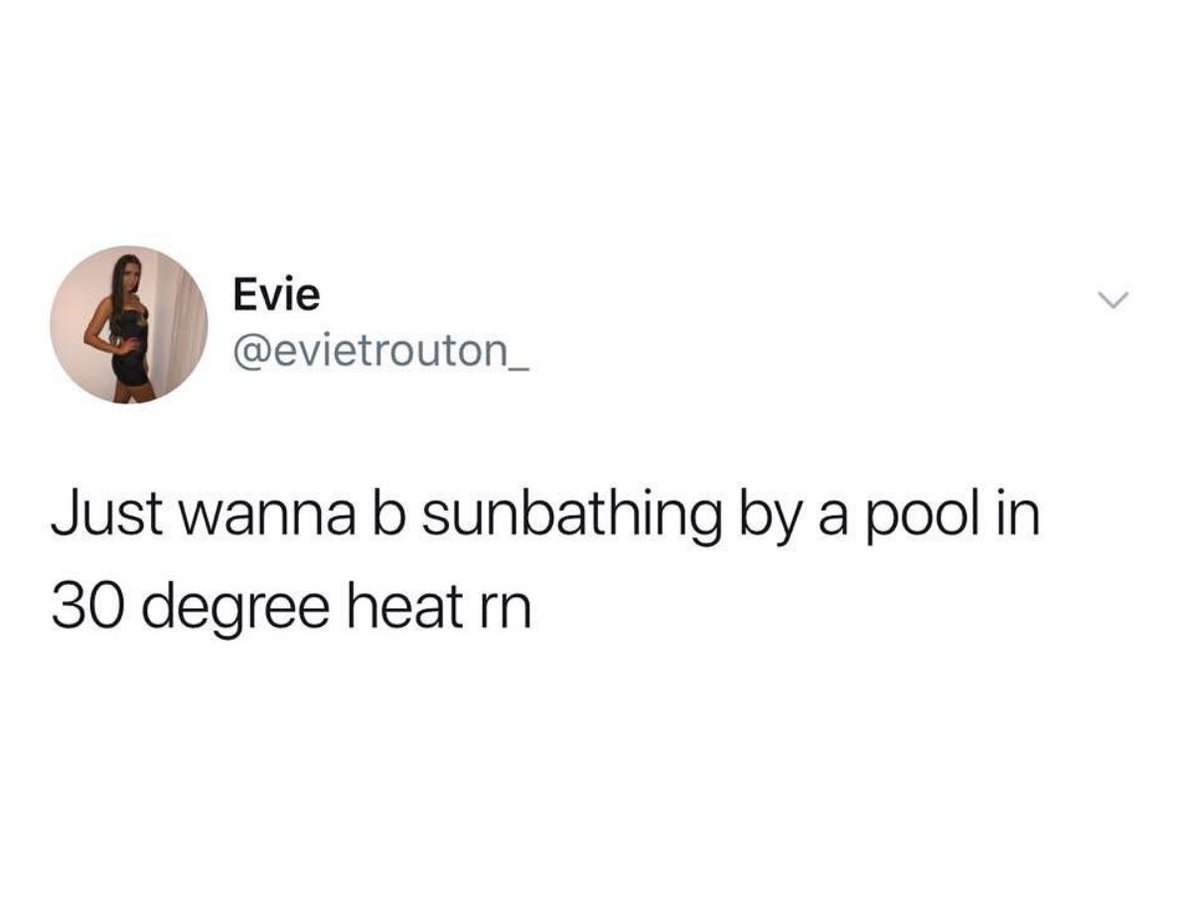 Missguided tweet media