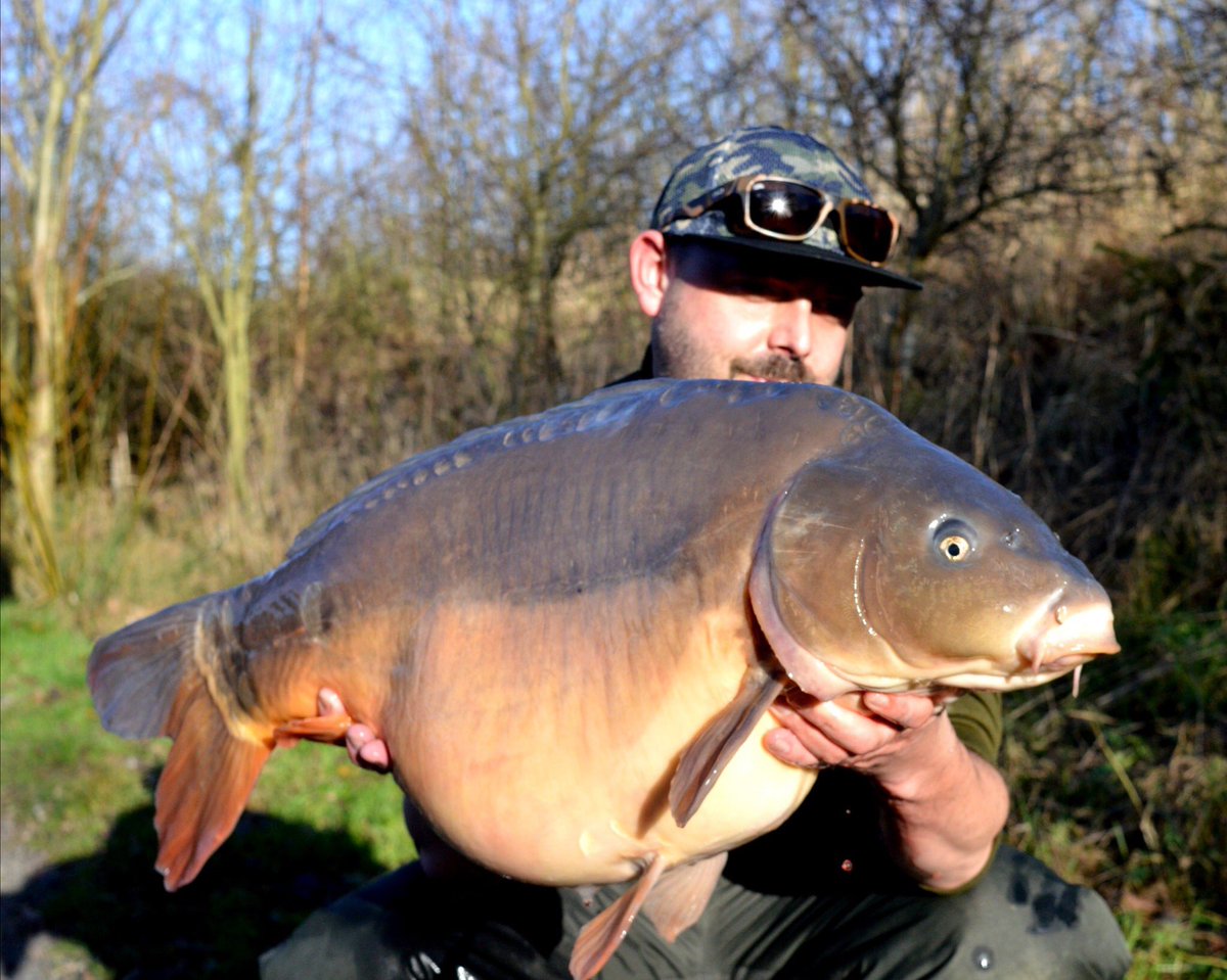 Northeastbaits2's tweet photo. First fish of the year for NEBβs Tom Milson and his first day out too, what a buzz for him to start with a 28lb winter chunk on the white reaper over our crushed reaper and 6mm pellets.
#QualityBaitsMoreTakes https://t.co/Ozl3CUtIyR