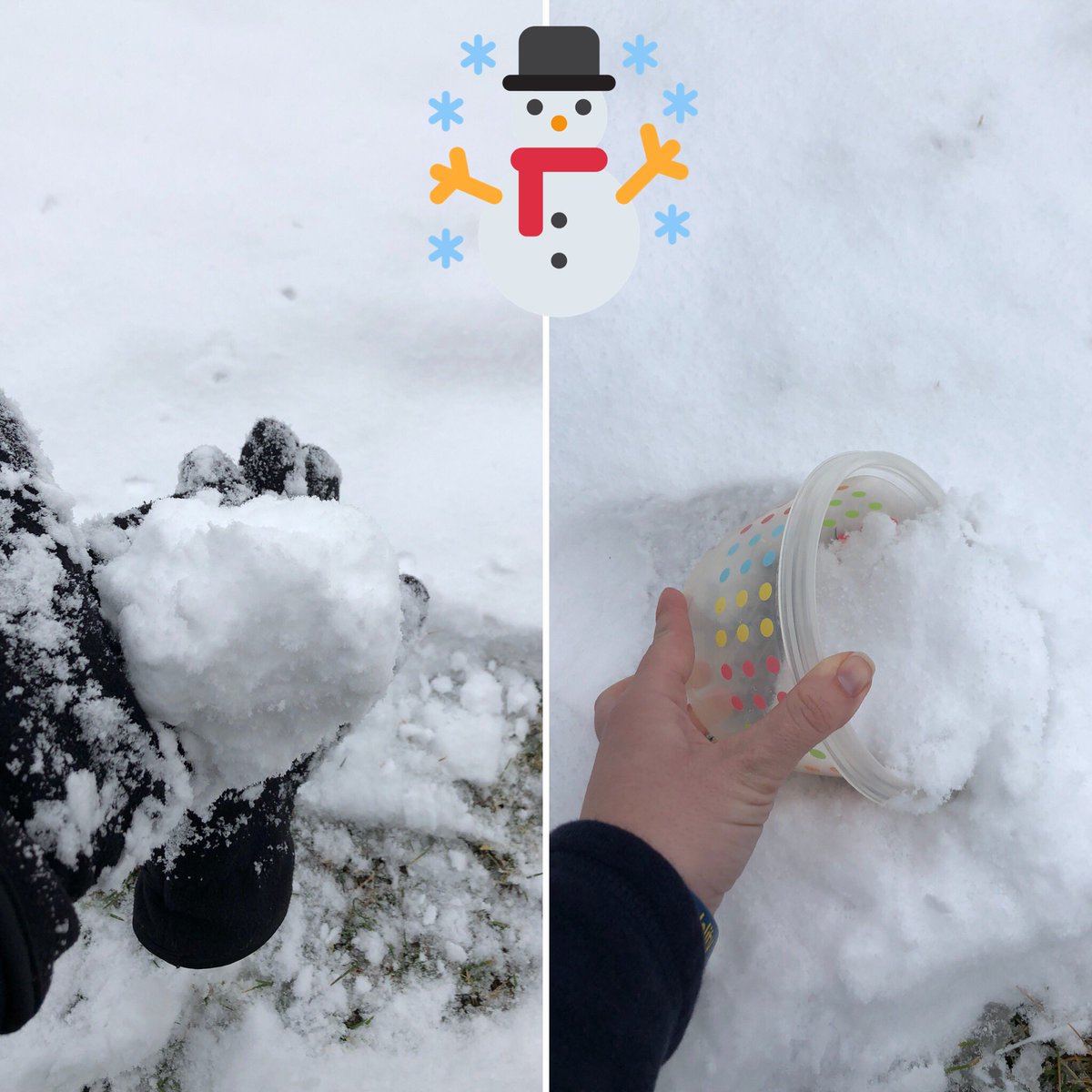 MrsNewshel's tweet photo. When Mother Nature gives you snow, you put it in containers to bring into your Pre-K kids for a lesson tomorrow!#thesnowyday @OVELEM https://t.co/866nJpayve