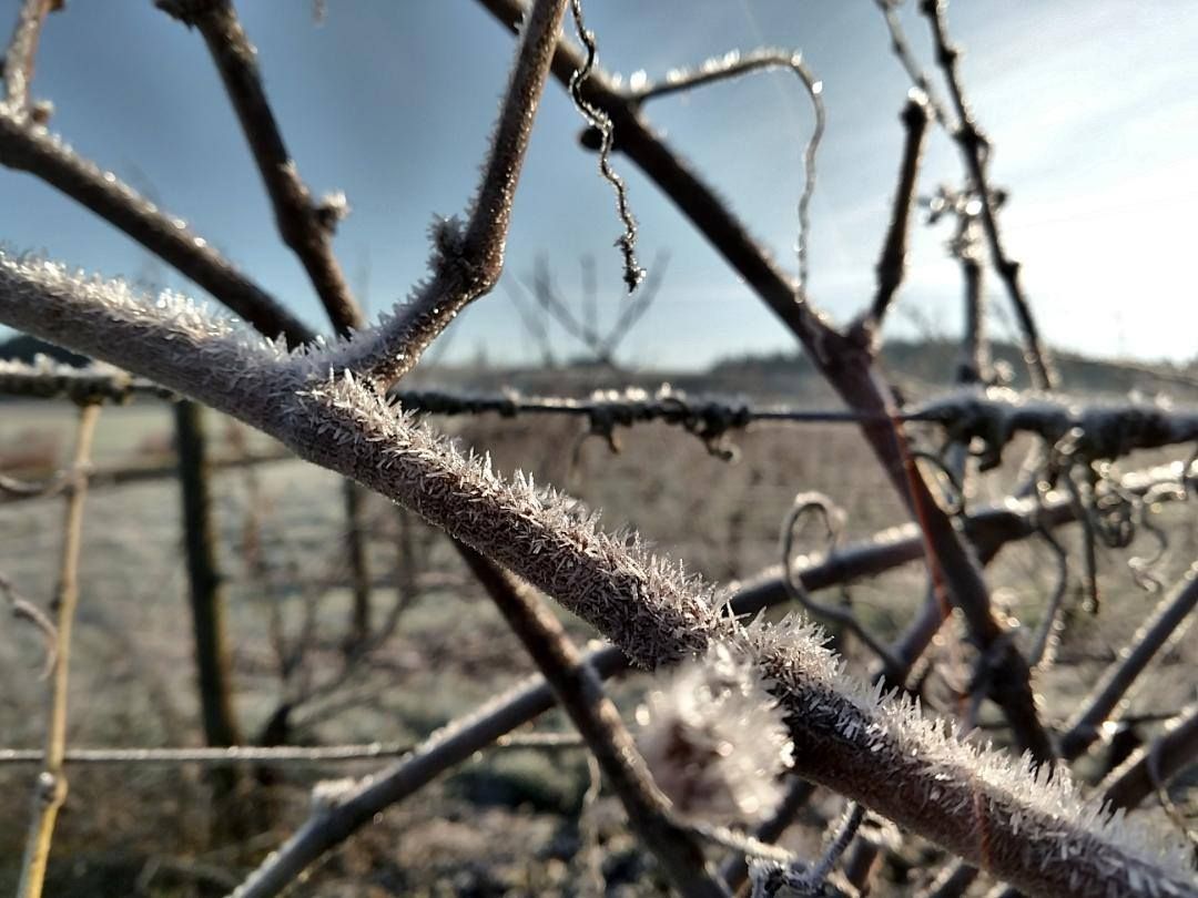 Cellar 503 tweet media