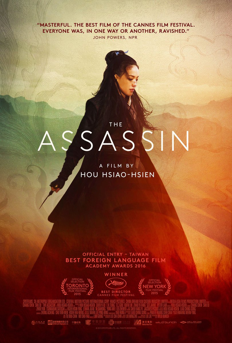 Assasisin (China)- Tells the story of a female Assasin who is sent by her master to kill corrupt government officials. It's not your typical action film. Very slow paced with such amazing cinematography. Every photographer should see this video. 100% on visual treatment