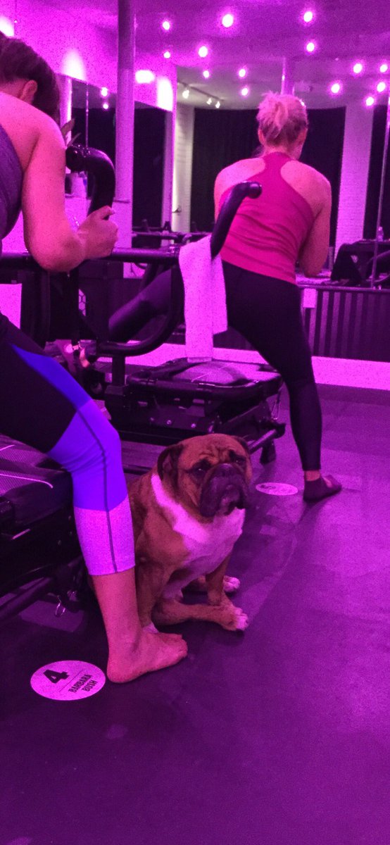 TheStudioFORM's tweet photo. We all have that one friend.....
#thestudioform #formhtx #wegot5onit #grabyourgirls #lagreehouston #houstonfitness #womenempowerment #women #fitness #pilates #fitstyle #workout #lagreefitness #instafit #megaformer #lagreemethod #foracause https://t.co/g67lA5Csog