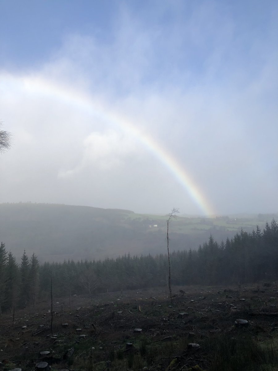 AdventureEire's tweet photo. Had a wild and windy day in #wicklow today and covered some @WicklowUplands #Tonduff #warhill #Djouce. Great to explore a new part of the country. #getoutside #mountaineering #adventure https://t.co/yhbAdMeVvg