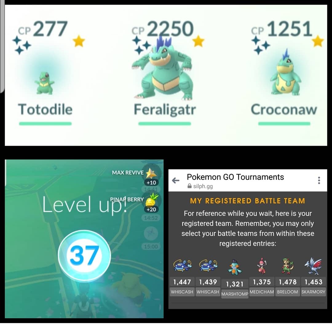 MoonblastFairy's tweet photo. 4 shinies caught on Totodile Comm Day yesterday. Also did my first #SilphLeague tournament &amp; reached lvl 37. #PokemonGo #PokemonGOCommunityDay https://t.co/Cqc7loojiD