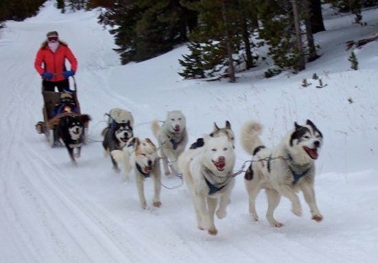 TapleyCherry's tweet photo. Headed out to feed the horses....😜 https://t.co/NVJaBLbSWj https://t.co/rWCUEu9W7b