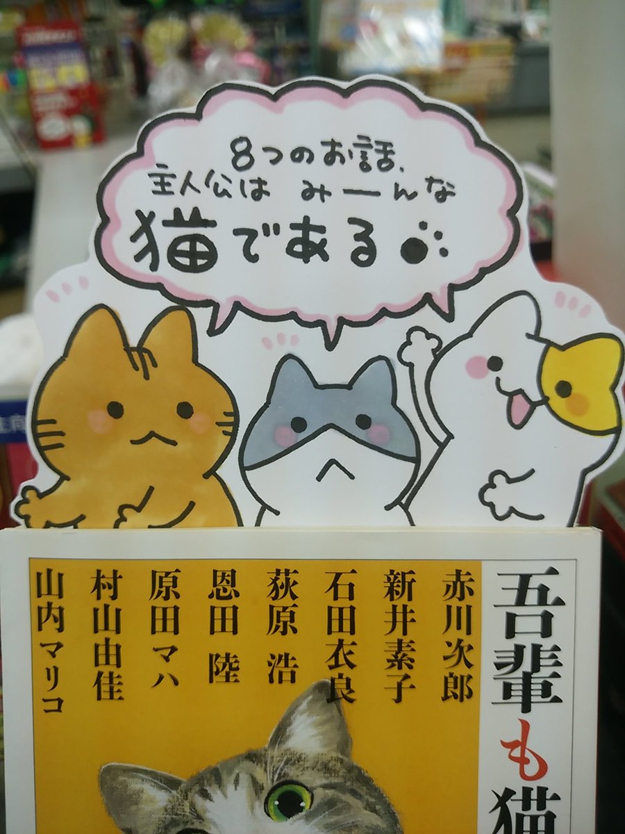 本日紹介する書籍は「吾輩も猫である」です。かの有名な「吾輩は猫である」ではなく「吾輩 も 猫である」この小説は、猫好きの作家8名による「猫を主人公にした物語」のアンソロジー。それぞれの話の書き出しに注目すると、色々な表現や一人称での「自分は猫である」から始まるユニークな一冊です。