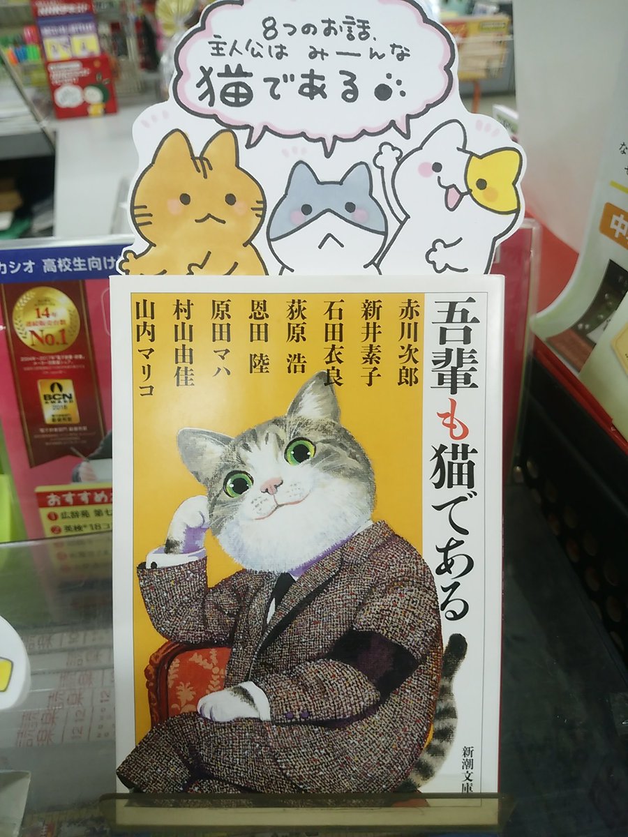 本日紹介する書籍は「吾輩も猫である」です。かの有名な「吾輩は猫である」ではなく「吾輩 も 猫である」この小説は、猫好きの作家8名による「猫を主人公にした物語」のアンソロジー。それぞれの話の書き出しに注目すると、色々な表現や一人称での「自分は猫である」から始まるユニークな一冊です。 