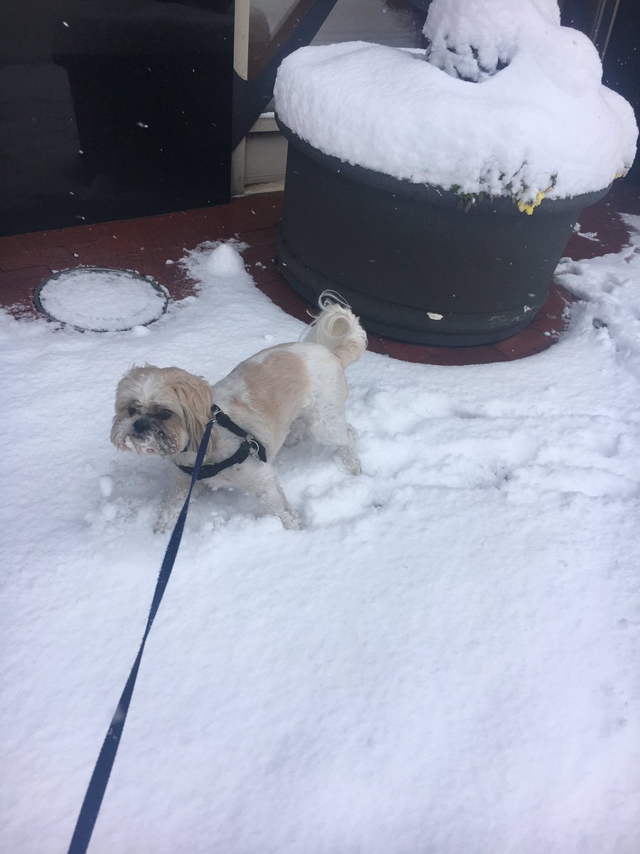 Hope everyone is enjoying the snow! We are. Please check Schoology for information about your project &amp; tell a friend. #happysnowday <a href="/mehms/">Mary Ellen Henderson Middle School</a>
