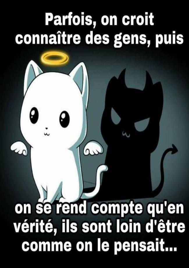 Subtweet Twitterren Parfois On Croit Connaitre Des Gens Puis On Se Rend Compte Qu En Verite Ils Sont Loin D Etre Comme On Le Pensait Desillusion Subtweet T Co Fmm9bnvzpd Twitter