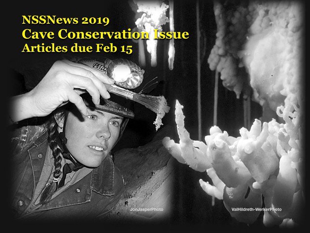 NSScaves's tweet photo. Call for Articles - NSS News Annual Conservation Issue
Describe your cave conservation issues &amp; accomplishments!  Articles and photos due 15 February 2019! 
 - Send all submissions to both nssnews@caves.org and 
 werks@cunacueva.com https://t.co/DjqQQcndzA