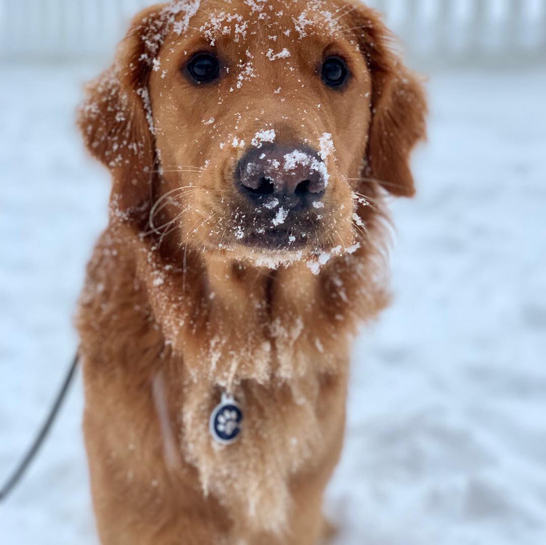 chase1297's tweet photo. The new iPhone cameras are insane https://t.co/L6uAYvQTmj