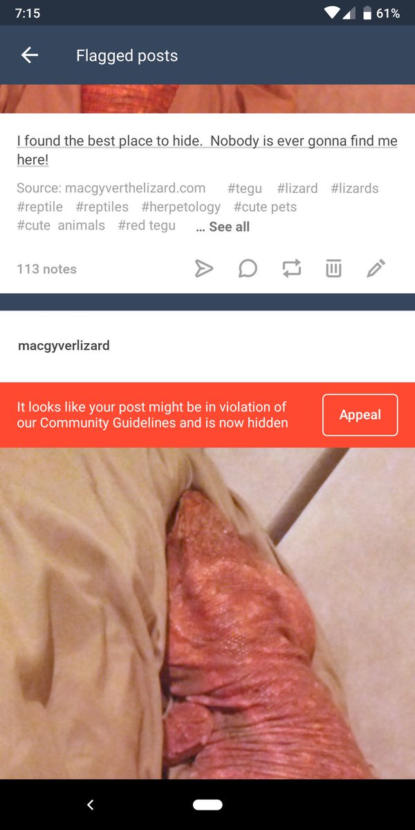 Is this <a href="/tumblr/">Tumblr</a>'s subtle way of saying that I look like a penis?