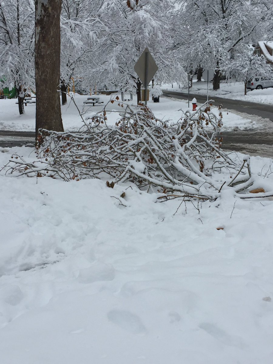 bks_annie's tweet photo. @KCMO311 a tree on the easement lost a large branch that’s blocking the sidewalk.  We’re across the street from Arbor Villa Park, at 66th Terrace and Grand Ave.  Obviously not a huge priority, but can you add it to your list?  Thank you! https://t.co/Hy66wHABlE