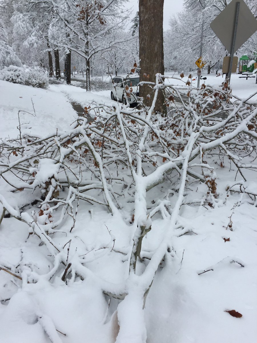 bks_annie's tweet photo. @KCMO311 a tree on the easement lost a large branch that’s blocking the sidewalk.  We’re across the street from Arbor Villa Park, at 66th Terrace and Grand Ave.  Obviously not a huge priority, but can you add it to your list?  Thank you! https://t.co/Hy66wHABlE
