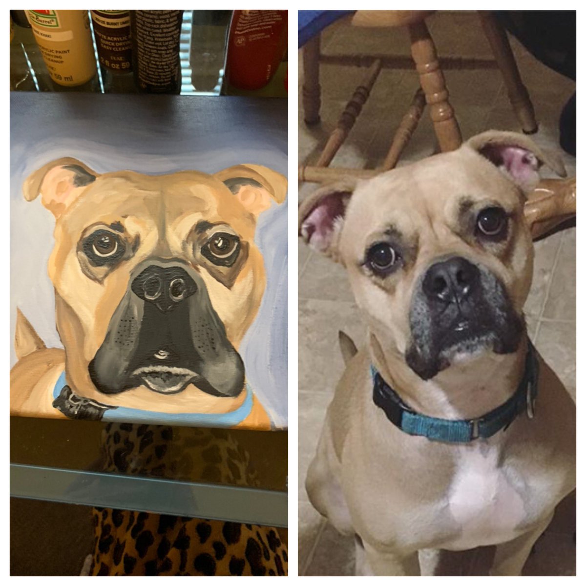 Madisonriley21's tweet photo. I’ve already had 5 inquires tonight about painting pet portraits 😻 let me know if you want to have a custom portrait done!! #Painter 🎨 https://t.co/MH1Aft5jMa