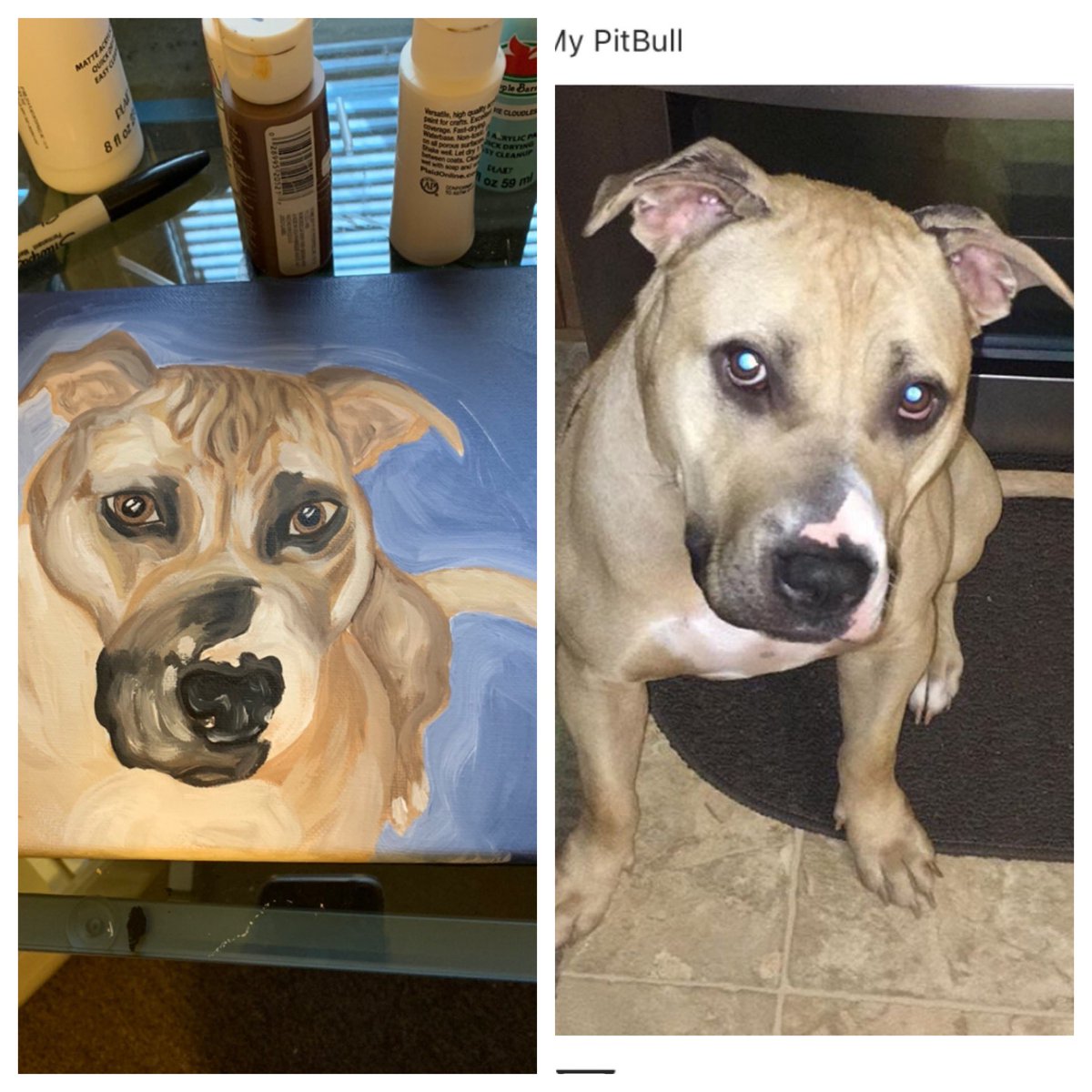 Madisonriley21's tweet photo. I’ve already had 5 inquires tonight about painting pet portraits 😻 let me know if you want to have a custom portrait done!! #Painter 🎨 https://t.co/MH1Aft5jMa